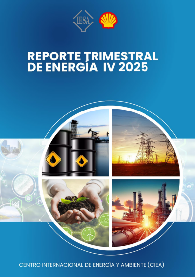 Reporte trimestral IV 2025