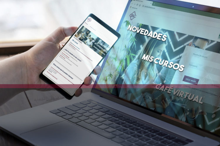 montaje_aula_virtual_pty-03